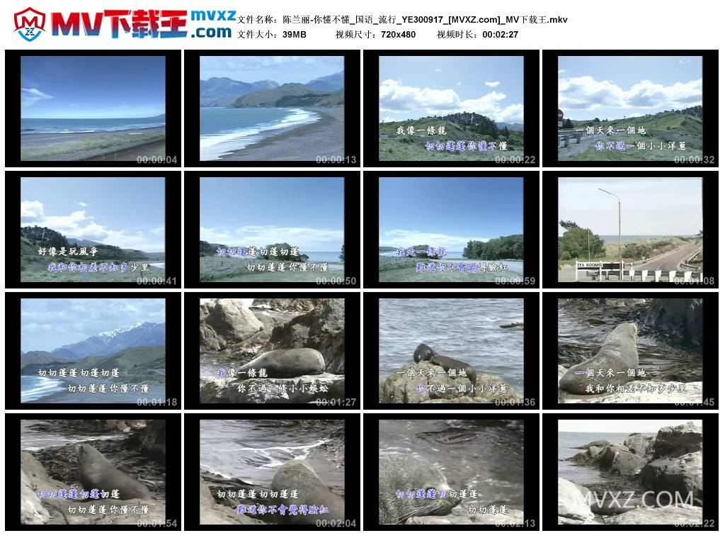 陈兰丽-你懂不懂_国语_流行_YE300917